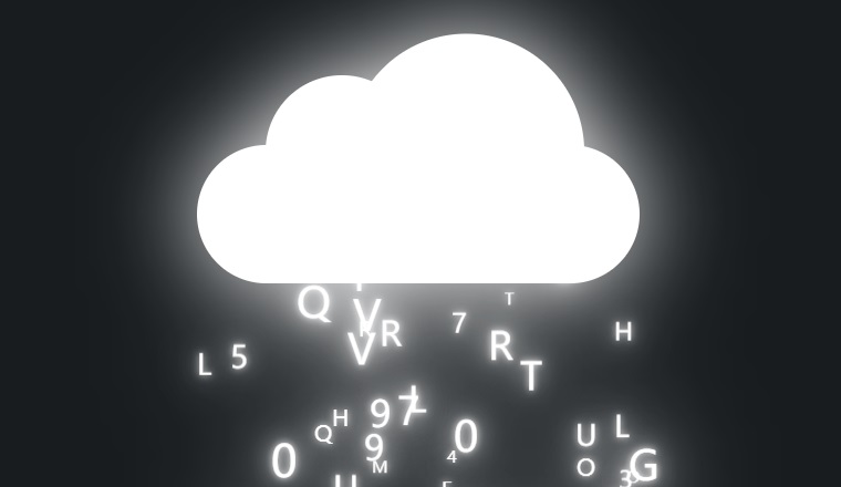 作品6